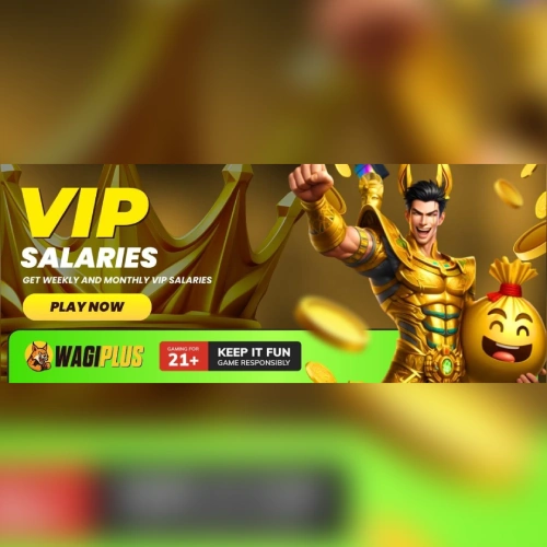 wagiplus VIP Salaries